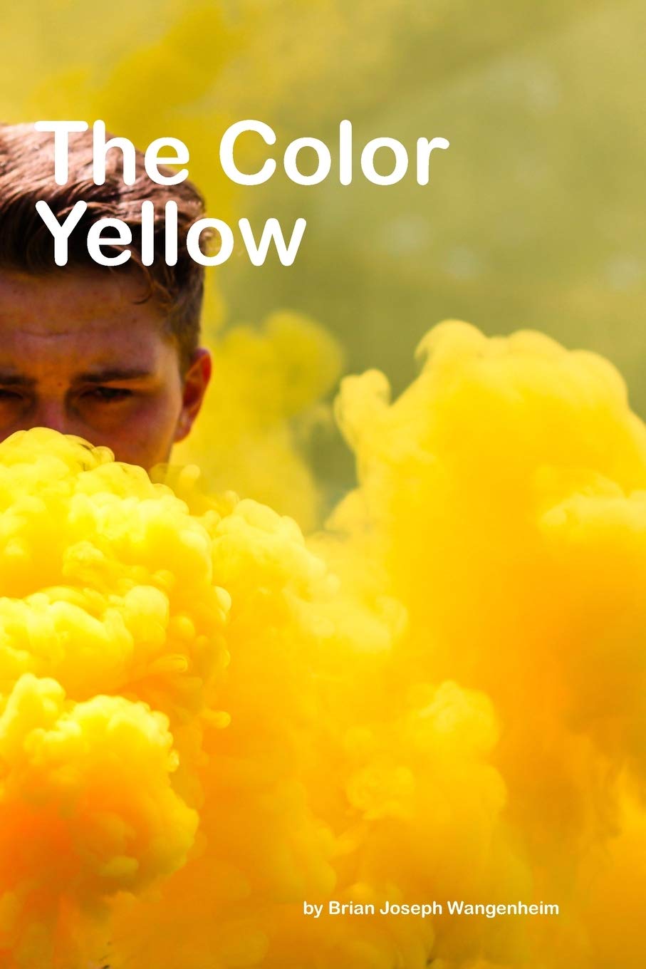 The Color Yellow: all about yellow (The Colors)