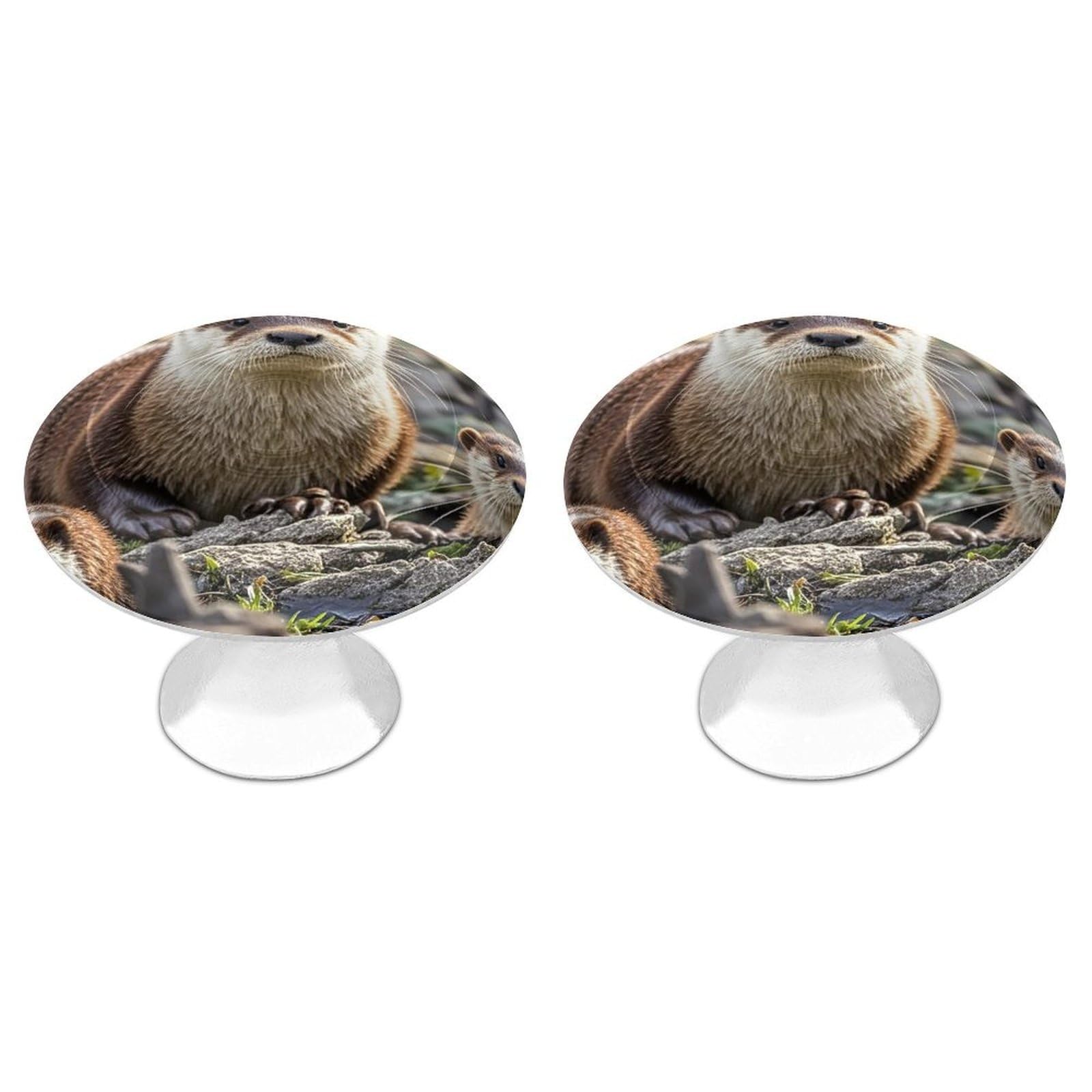 FekiLoot Animal Cute Brown Otters Cabinet Knobs 2 Pack Stainless Steel Round Dresser Drawer Knobs Kitchen Drawer Hardware Dresser Knob Closet Door Pulls Cabinet Handles for Cupboard Drawer Pulls