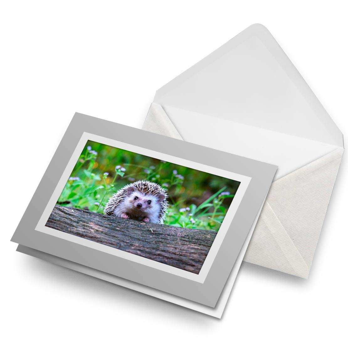 Biglietto Di Auguri Con Riccio E Giardino – 144x148 Mm, Interno Bianco, Progettato Nello Yorkshire