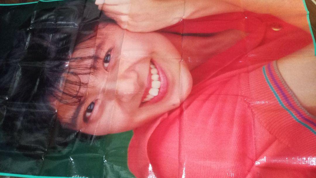 Amazon.co.jp: 南野陽子 ポスター レジャーシート 富士通 FM TOWNS 超