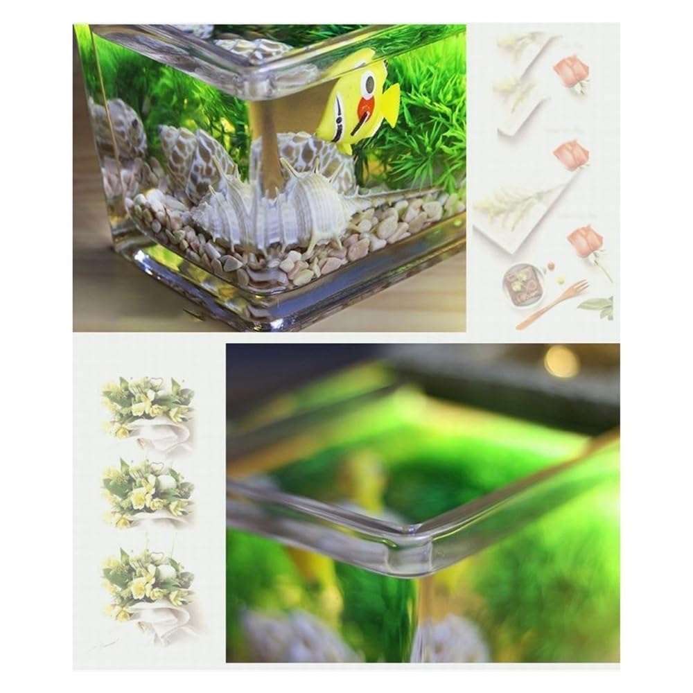 Aquarium Quadratisches, transparentes Acryl-Aquarium mit Fischzirkulation, kreativ, klein, for Aquarien, Öko-Landschaftsgestaltung, Dekoration