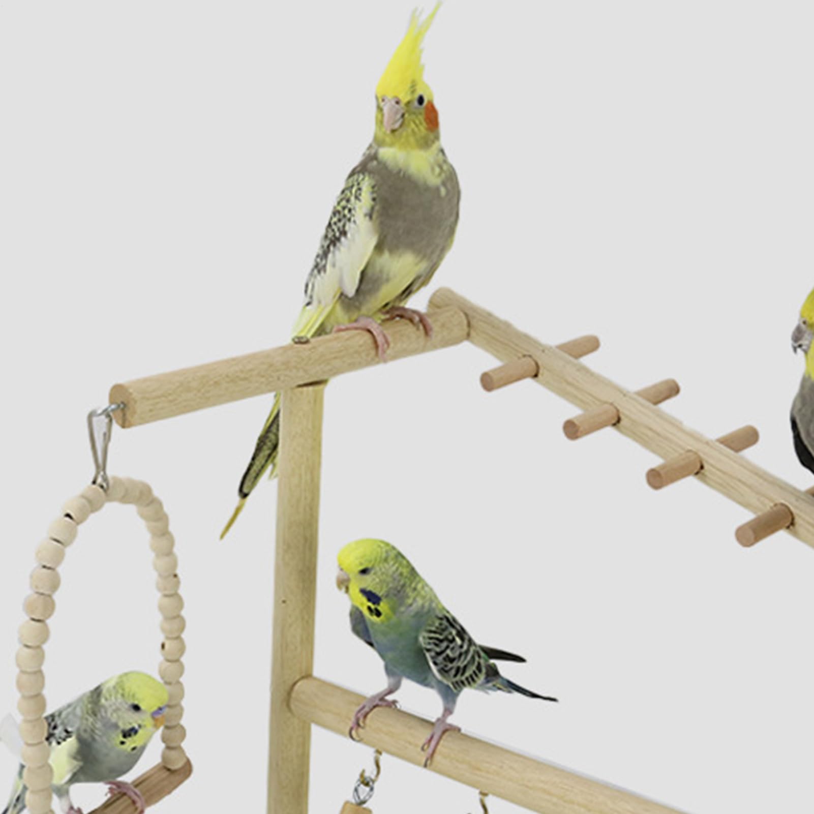 Perchoir Pour Oiseaux Balançoires Échelles En Bois | avec Plateau Amovible Acier Inoxydable et Bol Support Bois Perroquet Pour Dressage, Fourrage, Maison, Intérieur et