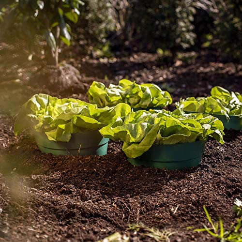 UPP ERD-Bewässerungsringe | Wasser sparen - durch gezielte Gartenbewässerung | Optimale Blumen-Bewässerung durch Pflanzringe | Kunststoff | Maße: ∅ 20 cm, H: 13 cm | Inhalt: 5 STK. | grün