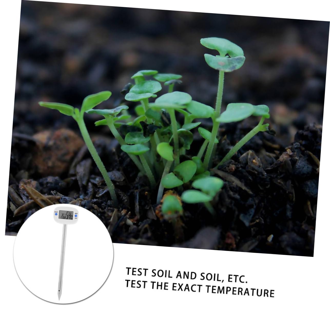 BESPORTBLE 3 Stück Mini Bodenthermometer und Hygrometer Präziser Bodenfeuchtigkeits und Temperaturtester mit Edelstahlsonde für Pflanzenpflege und Gartenarbeit