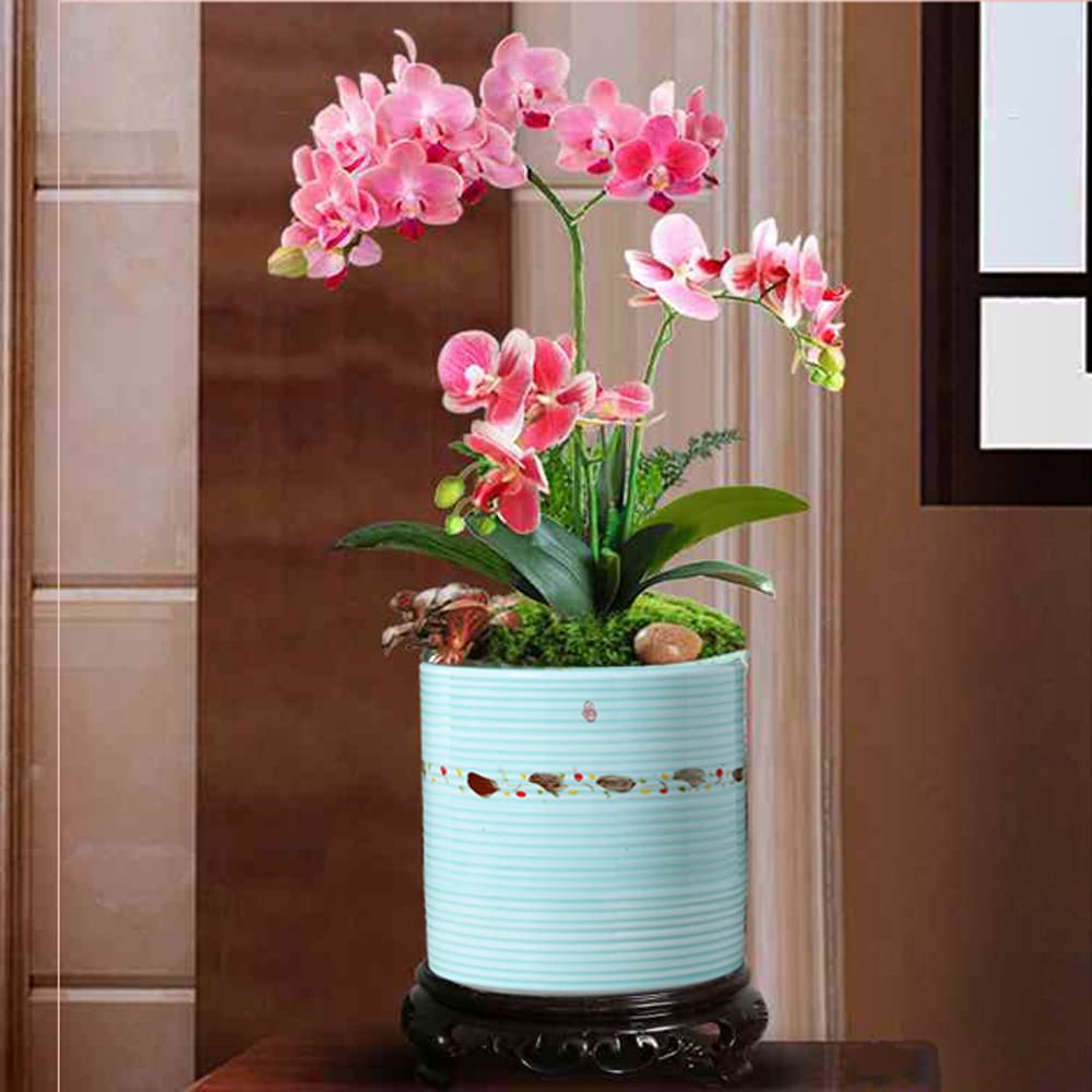 DFGHNBVC Jingdezhen Ceramic Flower Pot Hand-painted Magpie Dengmei Flower Pot Orchid Spider Plant Balcony Desktop Chinoiserie Green Plant Flower Indoor Flower Pot,B