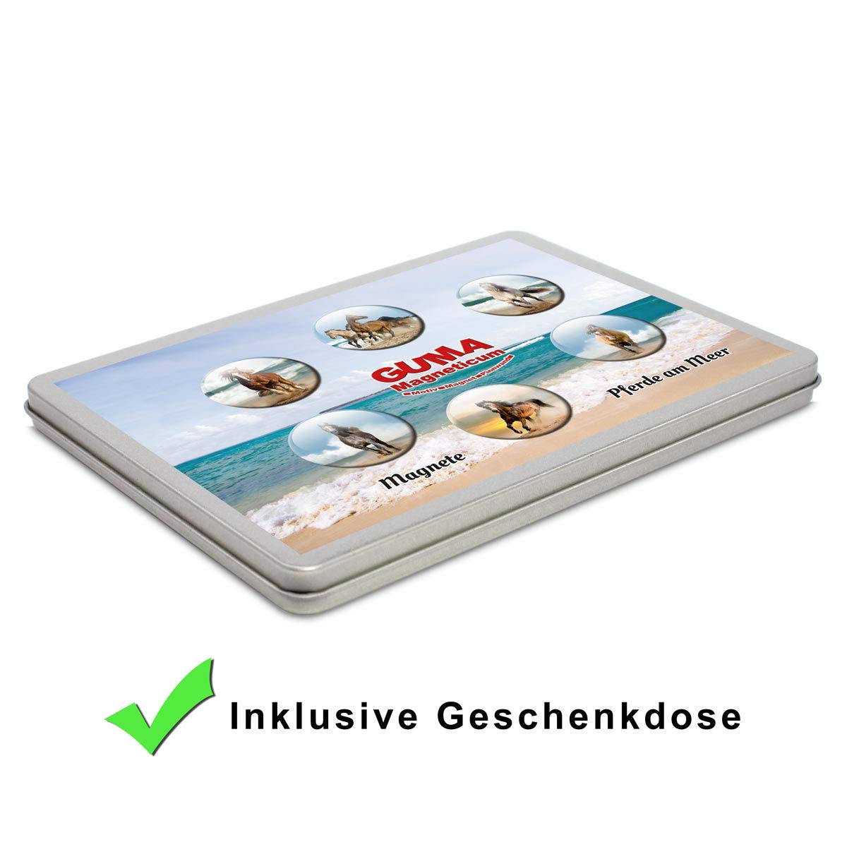 Kraftheld Pferde Magnete 5er Set - Bunte Kühlschrankmagnete Als Deko