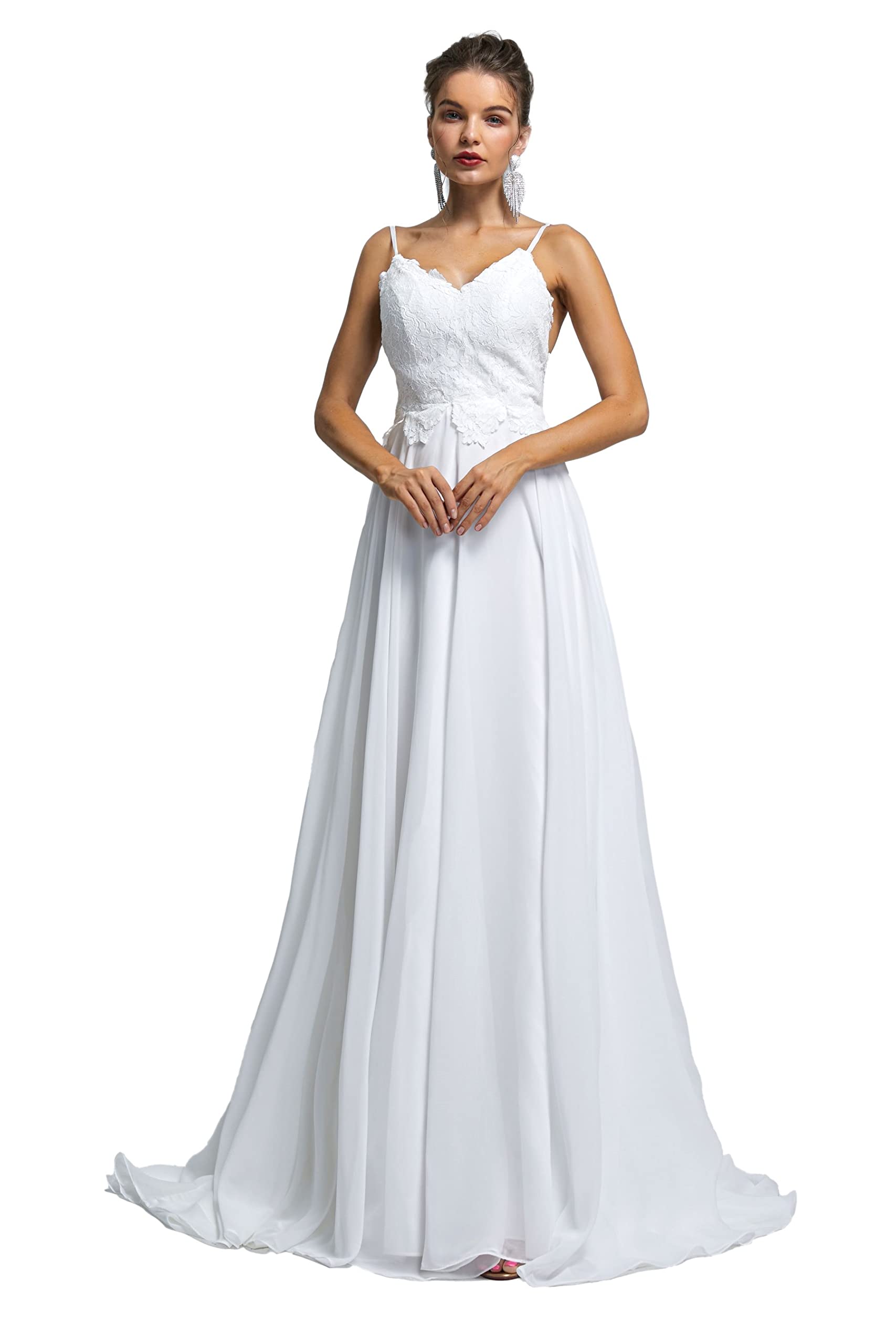 Spaghetti Chiffon Beach Wedding Dress V Neck A line Bridal Gowns Lace Plus Size Wedding Dress