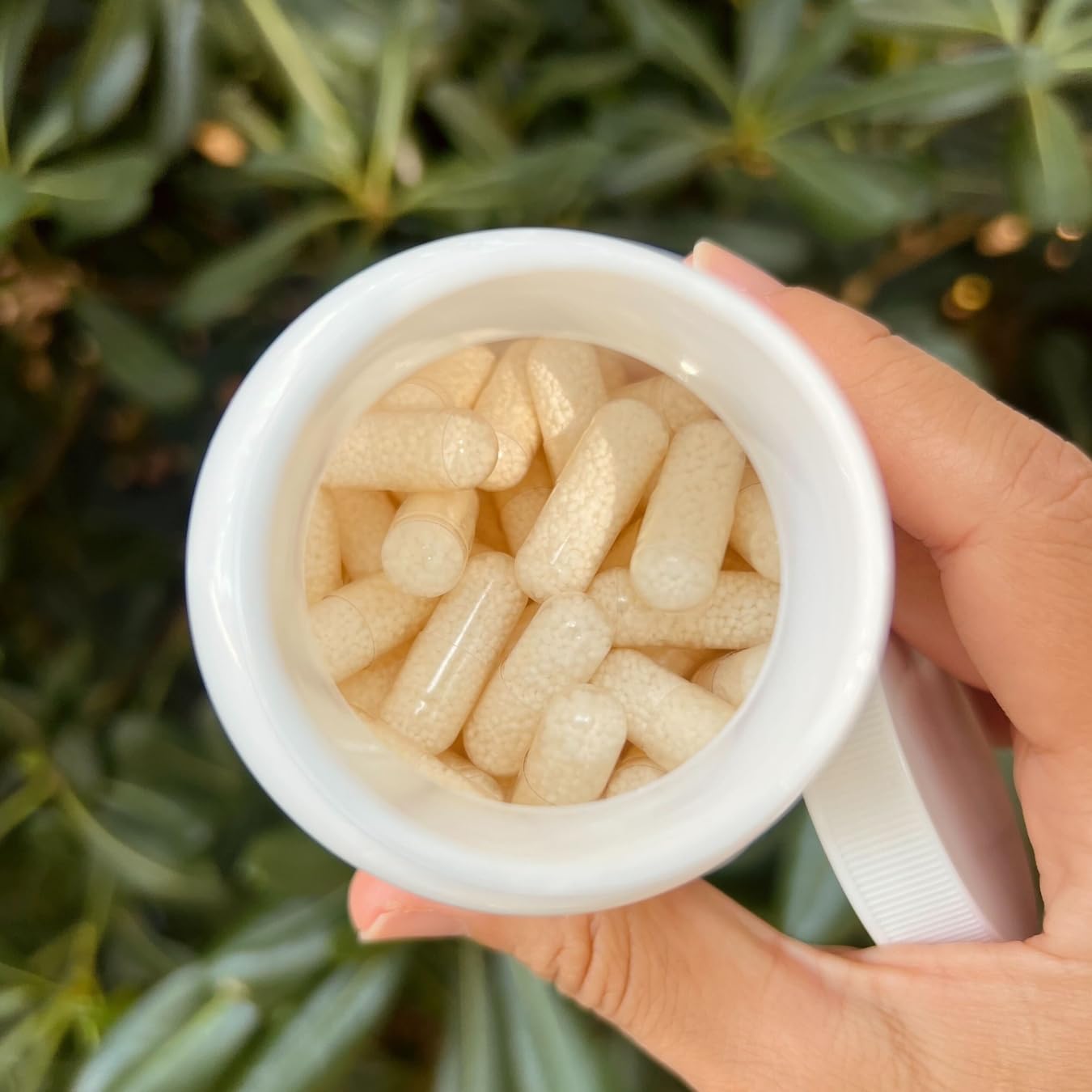 OPTIM Butyrate - Suplemento de Butirato de Sodio 285 mg para Microbiota - Liberación Progresiva Microencapsulado - 90 Cápsulas - Ácido Butírico para Bienestar Intestinal y Colon