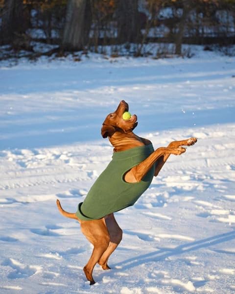 Gooby Stretch Fleece Pull Over Cold Weather Dog Vest, 3X-Large, Black Black 3X-Large - 5