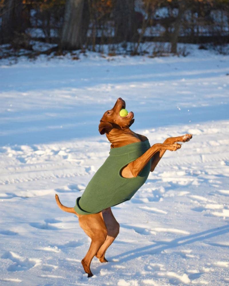 Gooby Stretch Fleece Pull Over Cold Weather Dog Vest, 3X-Large, Black Black 3X-Large - 5