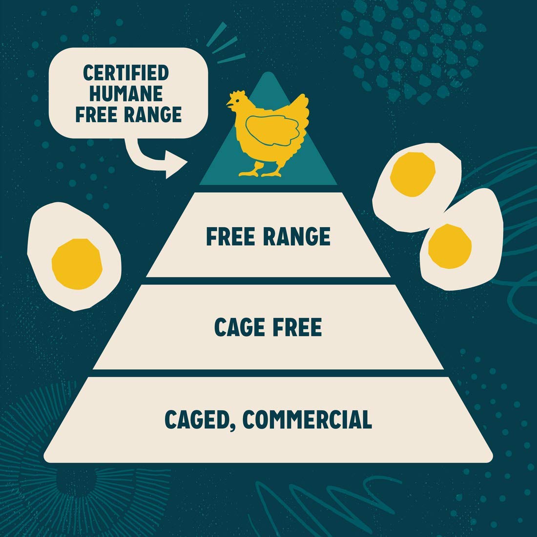 Sir Kensington's Mayonnaise Classic Mayo Gluten Free, Non- GMO Project Verified, Certified Humane Free Range Eggs, Shelf-Stable 12 oz : Grocery & Gourmet Food