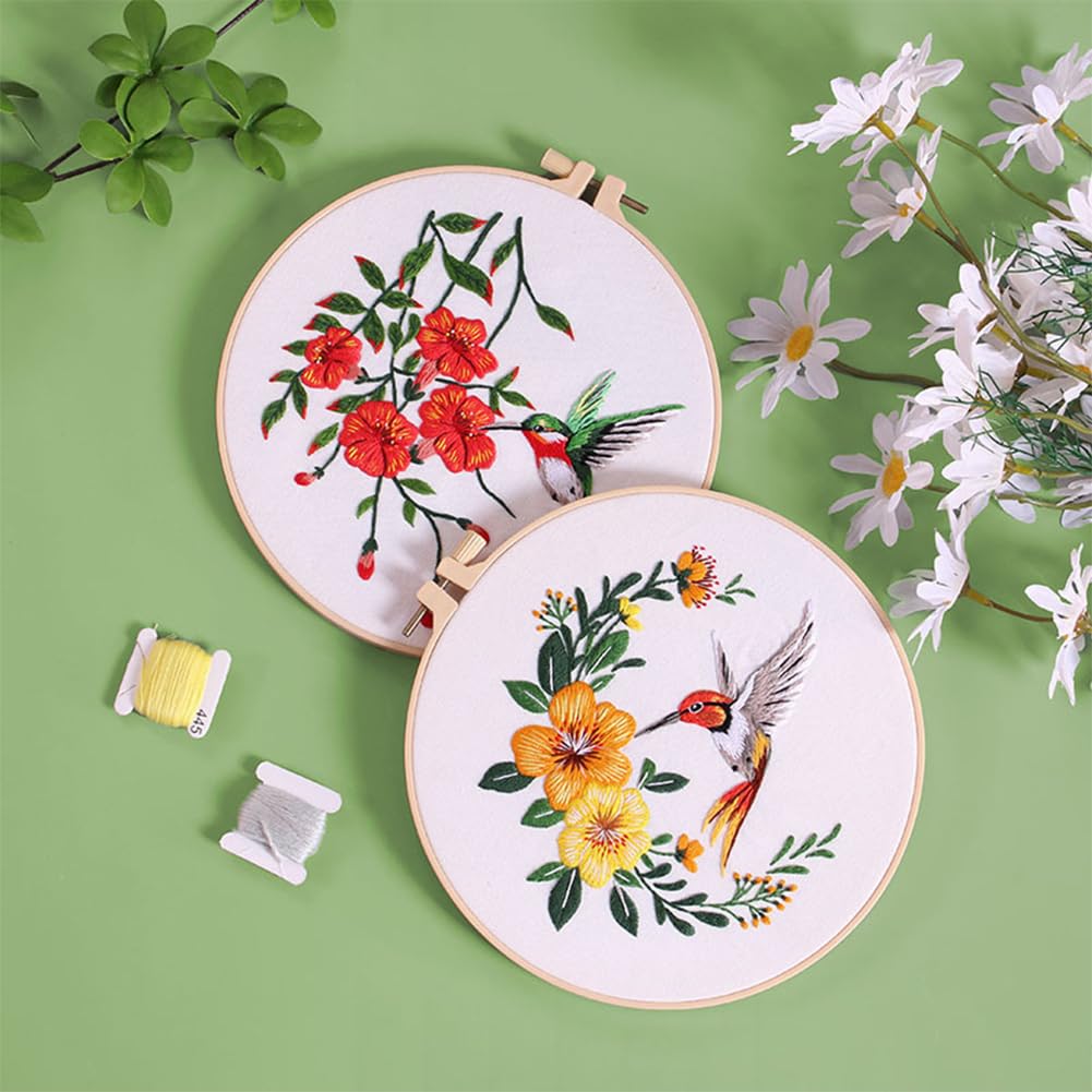 Embroidery Starter Kit With Hummingbird Pattern - Complete DIY Stitch Learning Set For Beginners