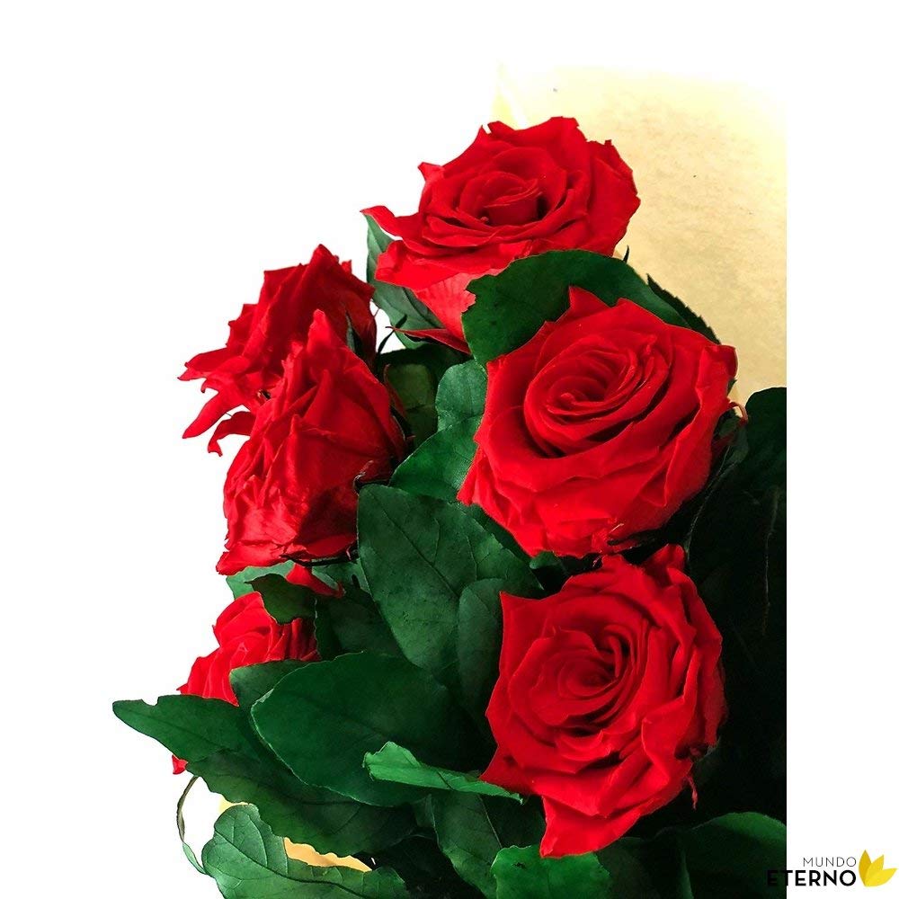 Mundo Eterno | Ramo de 6 Rosas Rojas Preservadas | Flor Eterna Natural | Regalo Romántico sin Mantenimiento | Ideal para San Valentín, Bodas o Decoración | liofilizada