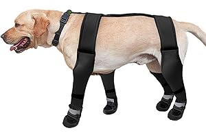 Dog Boot Harness: Keep Your Canine Companion Secure and Comfortable