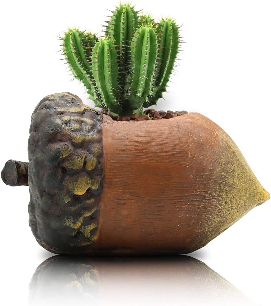 PUAIDA Cute Nuts Succulent Planter, Scrat’s Favorite Nuts Plant Pot Small Holder with Drainage Hole for Succulent Plants, Small Cactus and Herbs for Room, Home and Office Decor