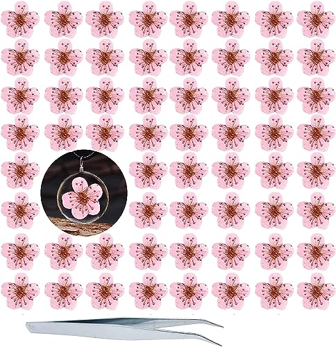 Flores prensadas secas para resina, 60 piezas rosa miniatura 1