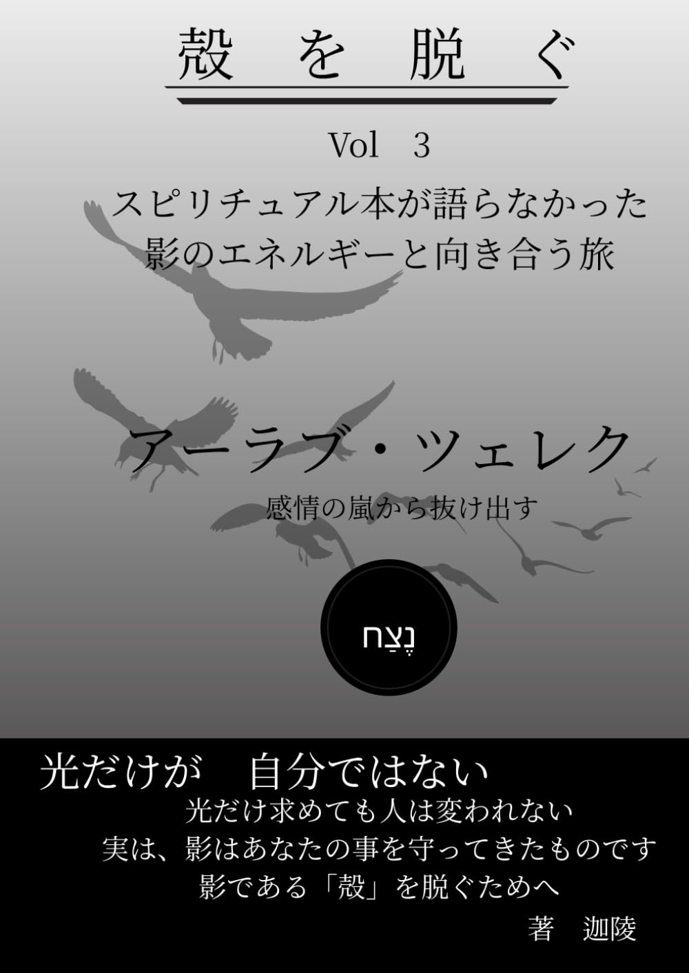 殻を脱ぐ　Vol 4　アーラブ・ツェレク: スピリチュアル本が語らなかった影のエネルギーと向き合う旅
