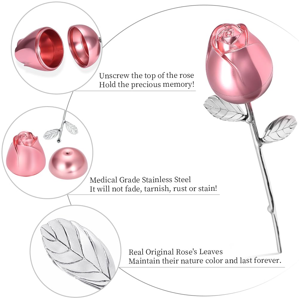 AIWENXI Collier Urne Funéraire Pour Cendres Pour Chien/chat