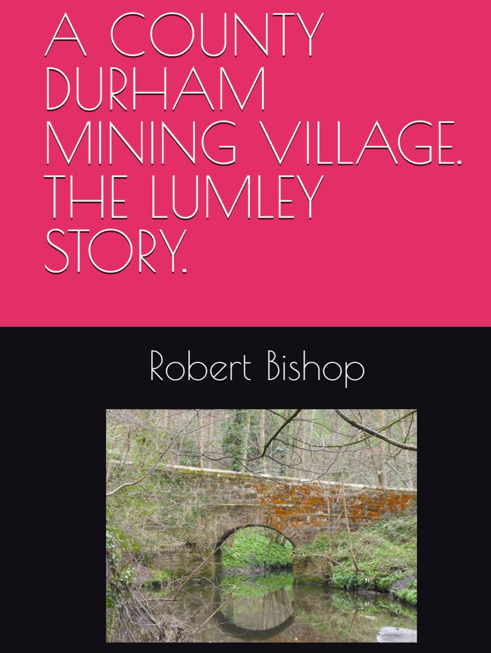 A COUNTY DURHAM MINING VILLAGE. THE LUMLEY STORY.