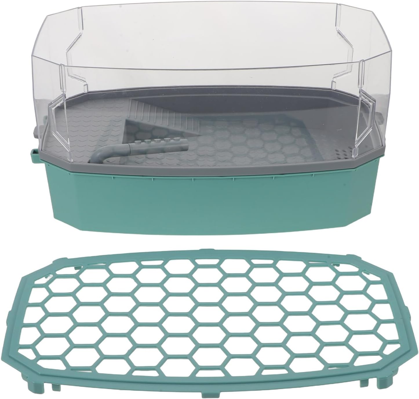 Ecological Turtle Aquarium Tank with Lid Small Blue Turtle Habitat Terrarium with Basking Dock for Home Use