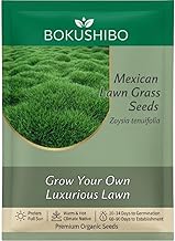 Bermuda Lawn Grass Seeds for Home Garden & Sports Ground | All-Season Fast Growing Turf Seeds | 100% Germination Rate Mexican Carpet Grass (1000 mg)