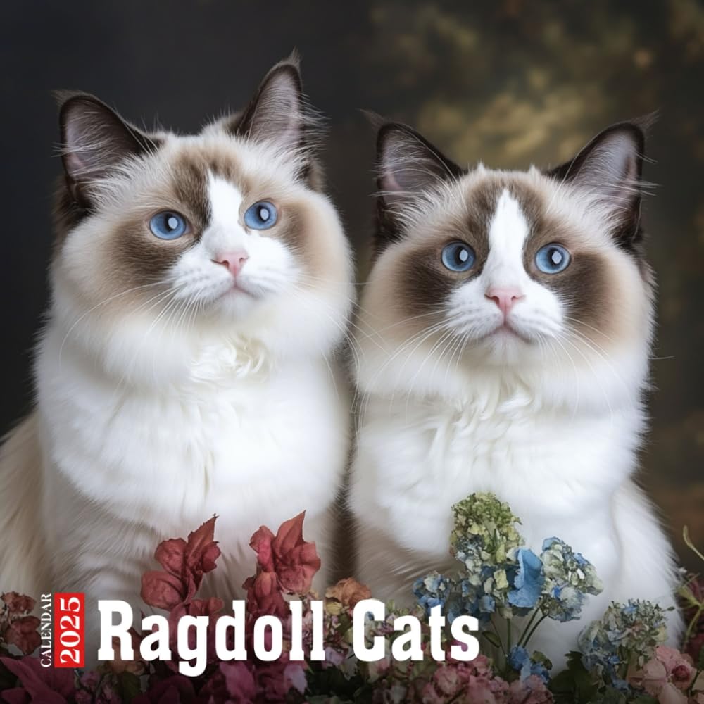 Ragdoll Cats Calendar 2025: A Yearly Planner Highlighting Various Ragdoll Cats