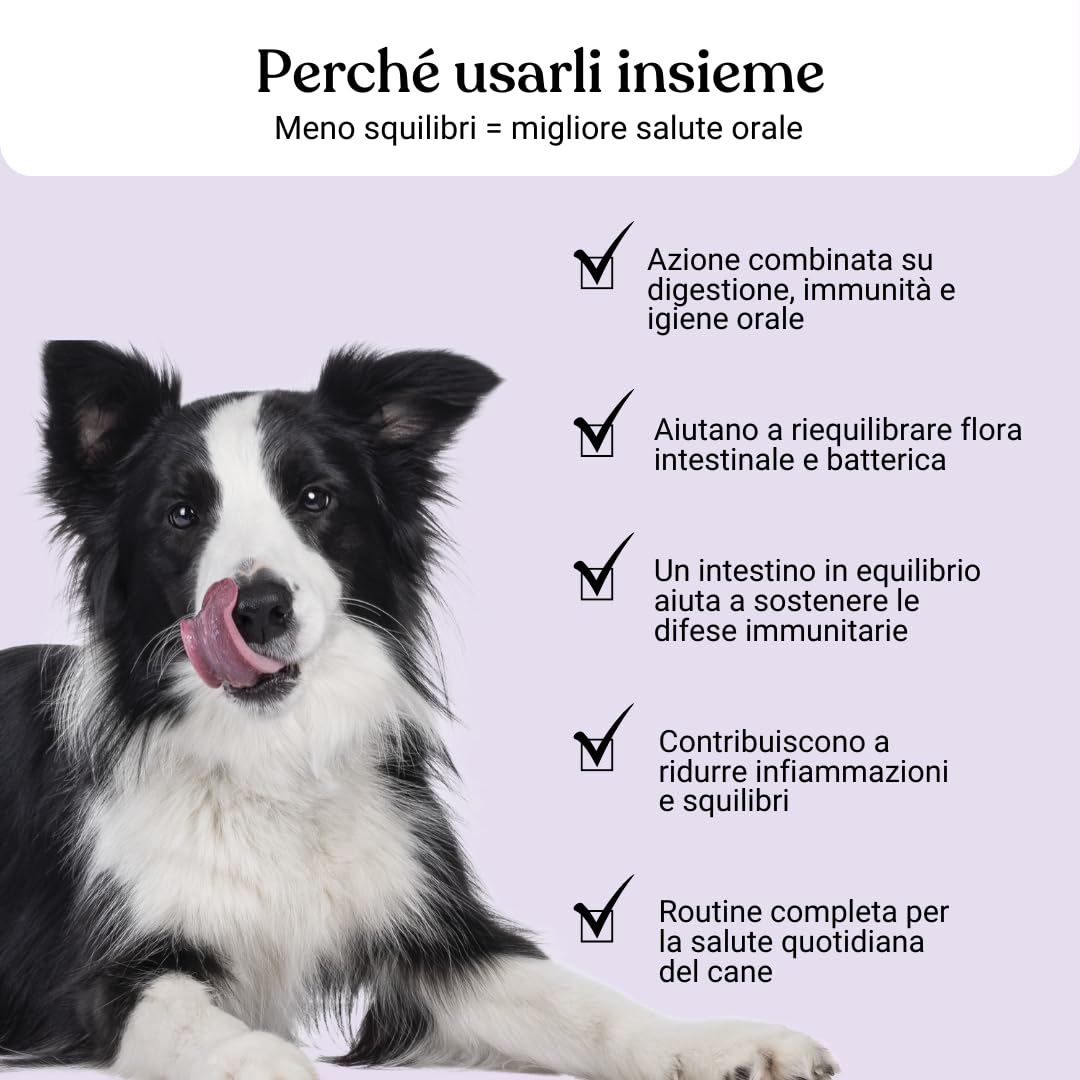 Bau Probiotici per Cani + Polvere Denti Antiplacca e Tartaro – Supporto Digestivo & Igiene Orale Totale – Fermenti Lattici, Alito Fresco e Riduzione Placca, Intestino Sano
