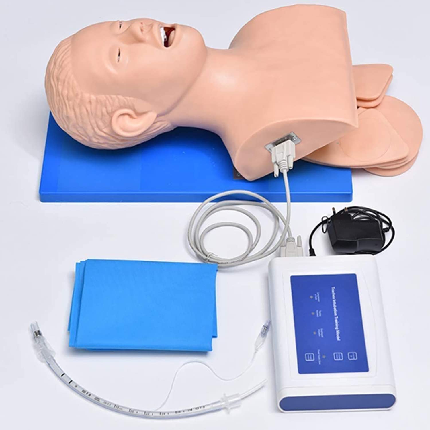 Buy JYKCBP Human Body Airway Management Trainer, PVC Electronic Manikin