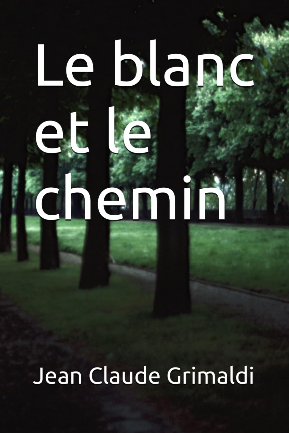 Le blanc et le chemin