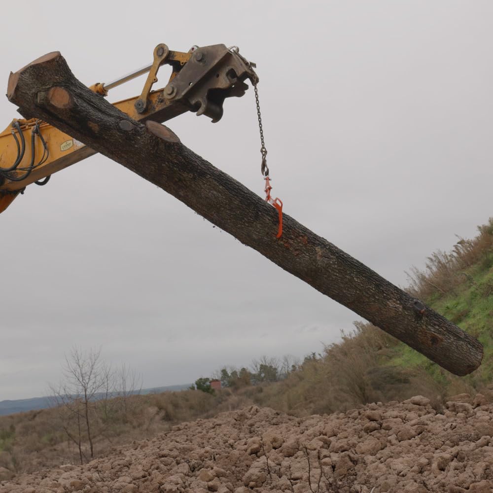 Oxeo Pince forestière capacité 1000 kg - pour Troncs Max. 700 mm - Pince de Levage 2 mandrins de Serrage - Force 1 Tonne - poignée