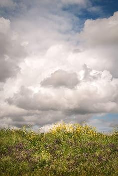 ArtExpert Blue Sky Vista 2 by Dianne Poinski - 16x24 Art Print Poster