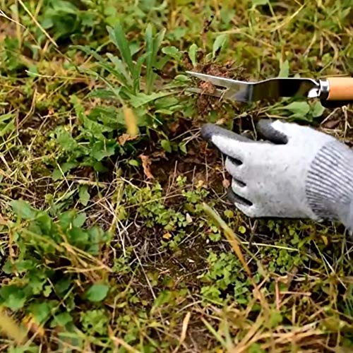 Tenedor para deshierbar de acero inoxidable con mango ergonómico miniatura 2