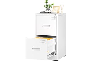 INTERGREAT 2 Drawers File Cabinet with Lock for Secure Office Storage