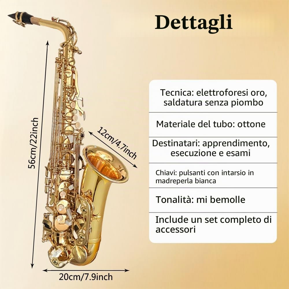 Yinfente Sassofono Contralto in Mi♭ per Principianti Adulti, Sassofono per Studenti, Sassofono Contralto in Mi Bemolle Kit Completo con Ance, Cuscinetti, Custodia Rigida da Trasporto, Panno e Asta per