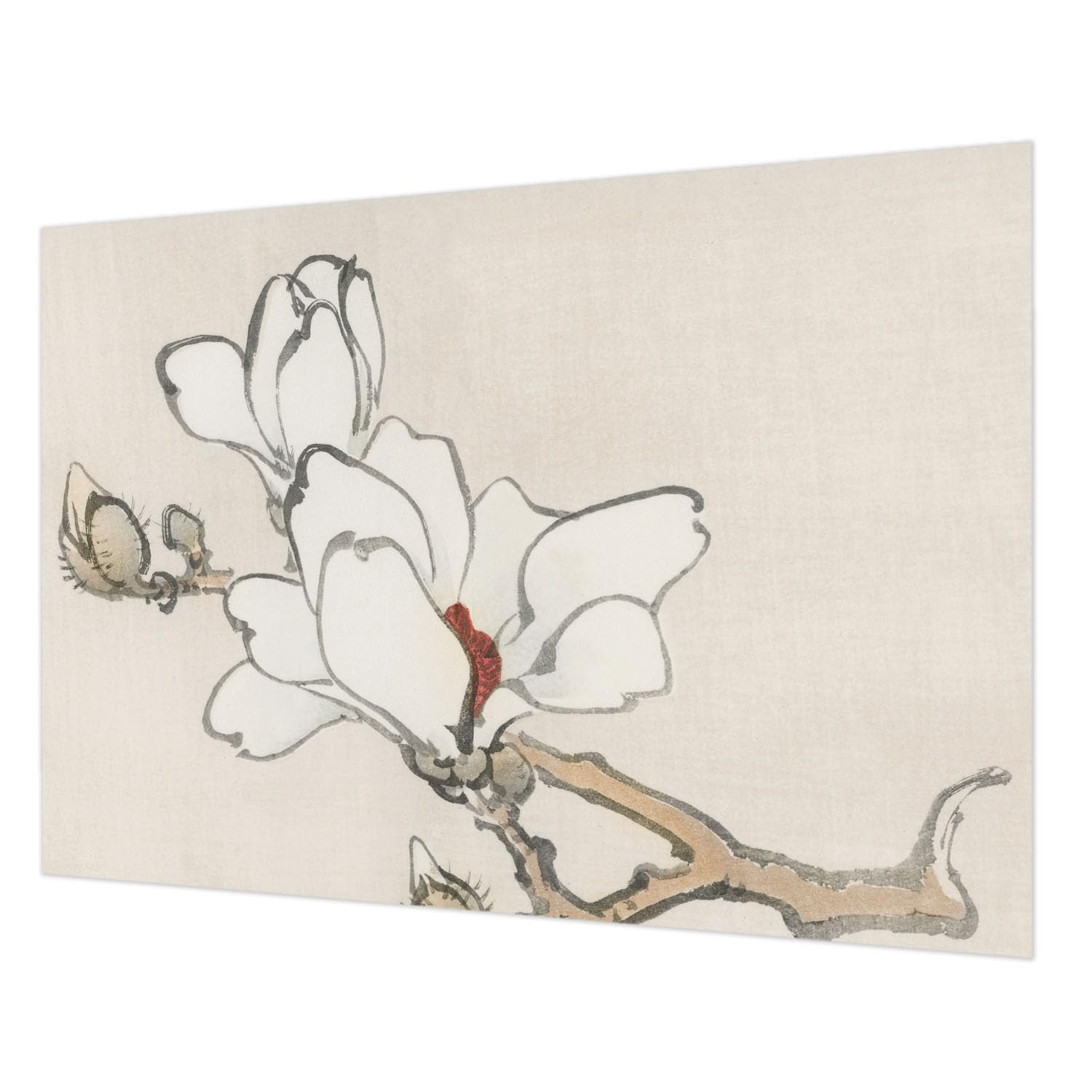 Décoration murale intissé premium impression magnolias délicats haute qualité