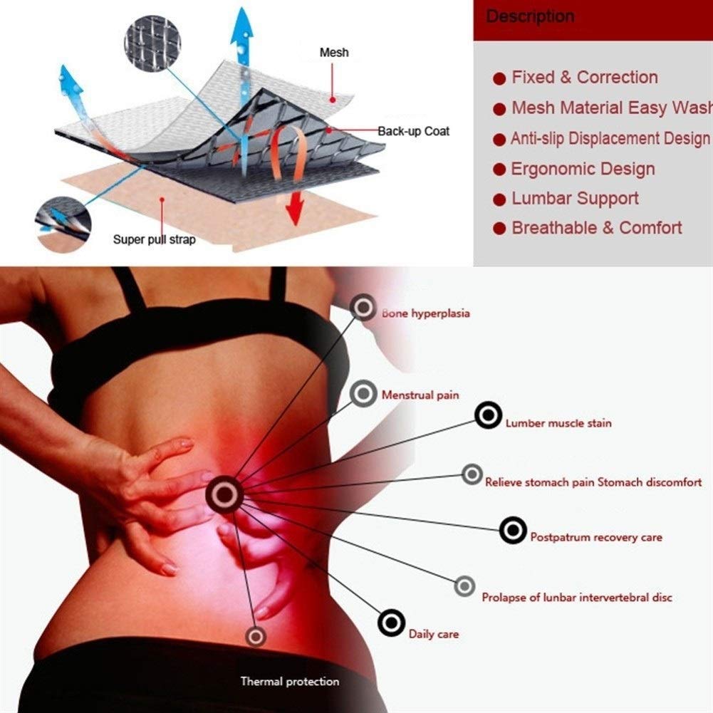 Tutore Lombare Vita Regolabile Tormalina Autoriscaldante Terapia Magnetica Cintura di Supporto for la Schiena Cintura Lombare Fascia for Massaggio Assistenza Sanitaria Uomo Donna,Supporto l