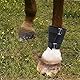 tinkare Coronet Streichschutz für Pferde, Neopren, Dekubitus, Stiefel, Streichwunden