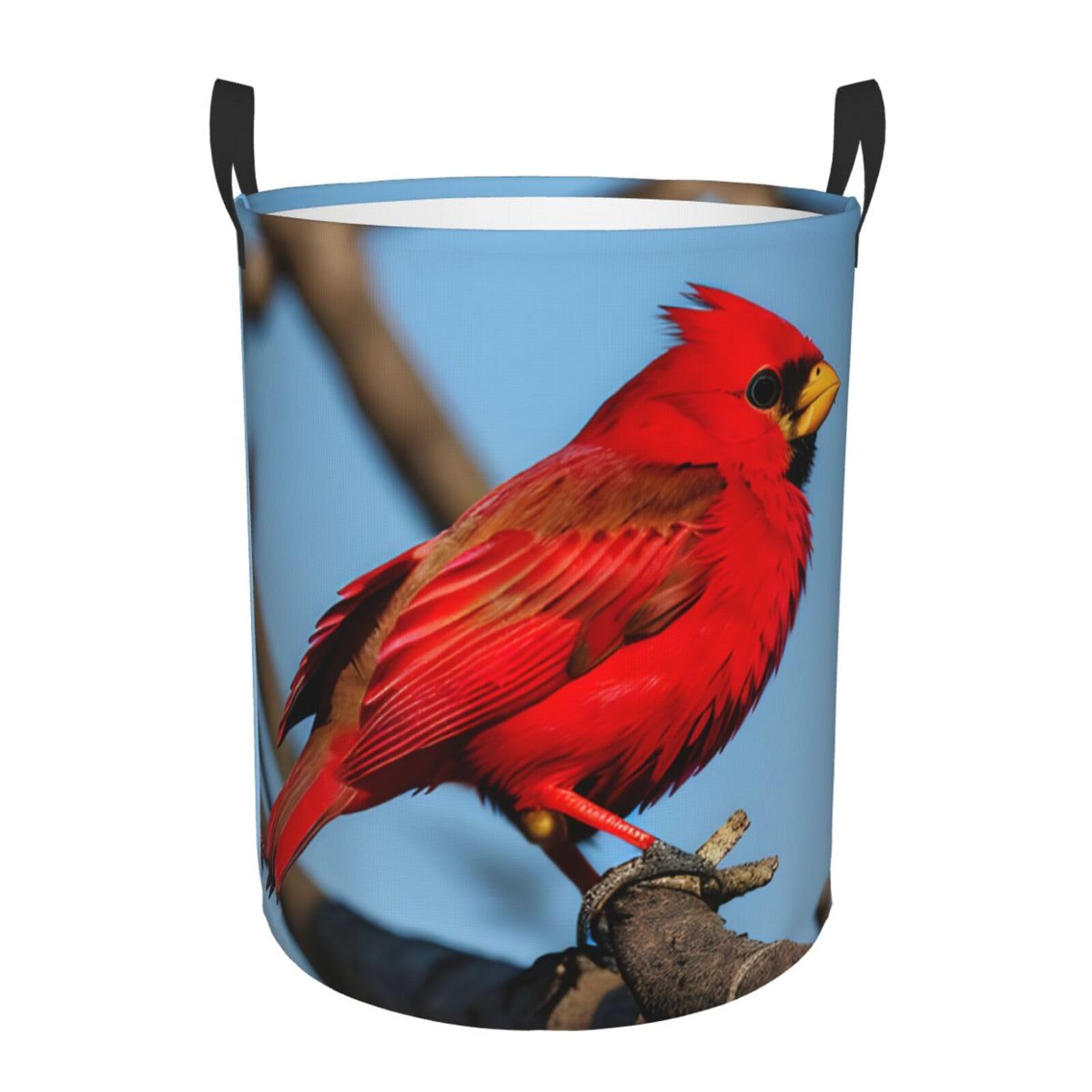 M Collapsible Laundry Hamper Round beautiful red Bird Print Storage