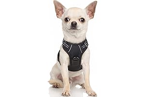 rabbitgoo Dog Harness, No-Pull No-Choke Adjustable Small Dog Harness with Reflective Stripe