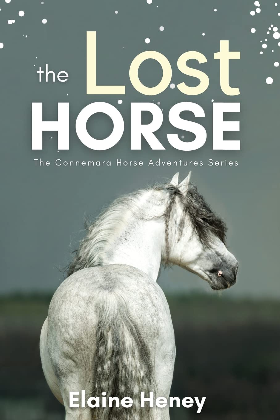 The Lost Horse - Book 6 in the Connemara Horse Adventure Series for Kids | The Perfect Gift for Children age 8-12 (Connemara Adventures)
