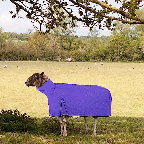 Image of Silkfly 2 Pcs Sheep Blanket Mesh Medium Goat Blanket with Mesh Butt and Adjustable Belly Strap Fits Lambs 110-140 Lbs for Show Lambs, Offers Effective Protection from Fly Bites (Purple)