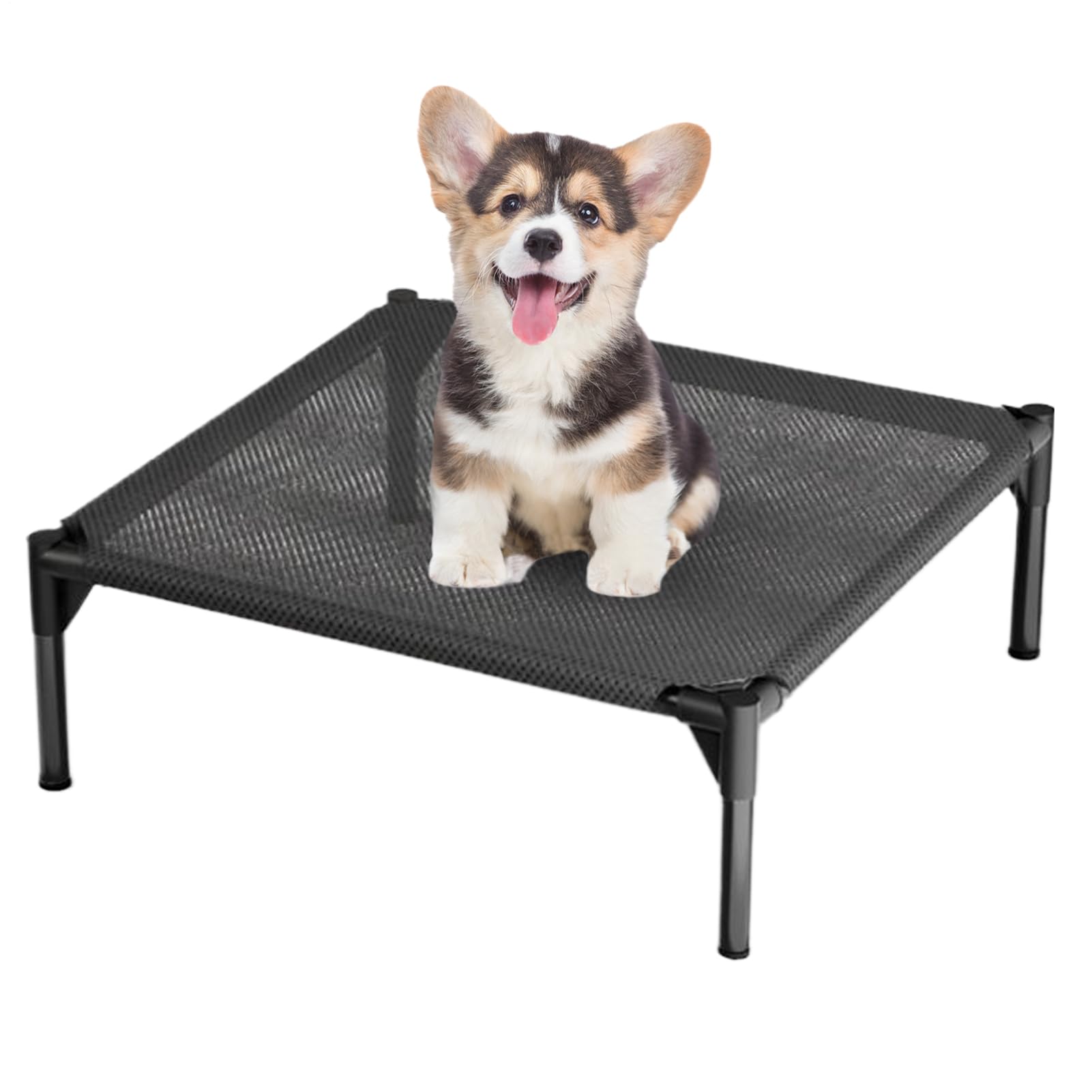Panier pour chien d'extérieur imperméable et lavable avec coussin respirant surélevé