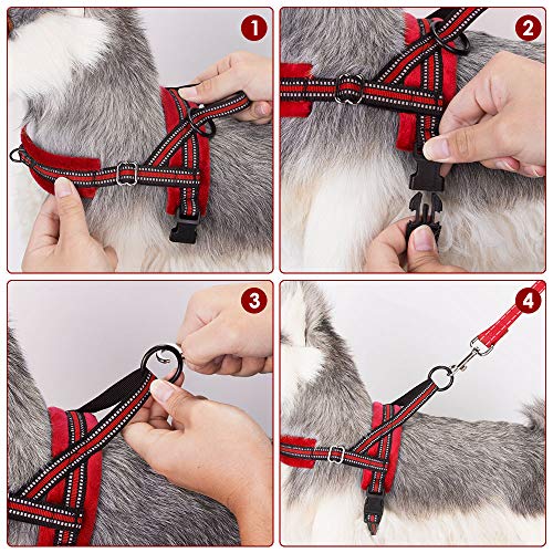 Slowton No Pull Small Dog Harness And Leash Set, Puppy Soft Vest Harness Neck & Chest Adjustable, Reflective Lightweight Harness & Anti-Twist Pet Lead Combo For Small Medium Dogs (R-Front Clip,Xxs) #TOP4