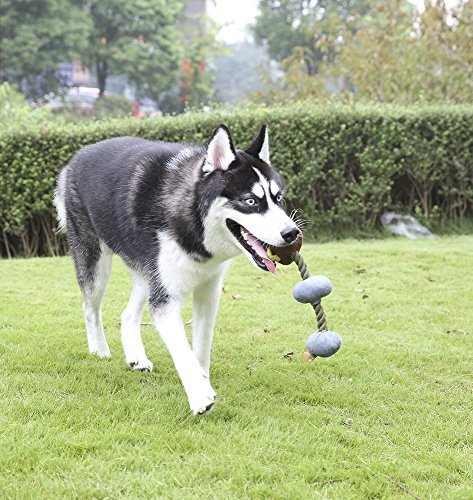 Pro Goleem Squeak Dog Toy Pet Corda Masticare