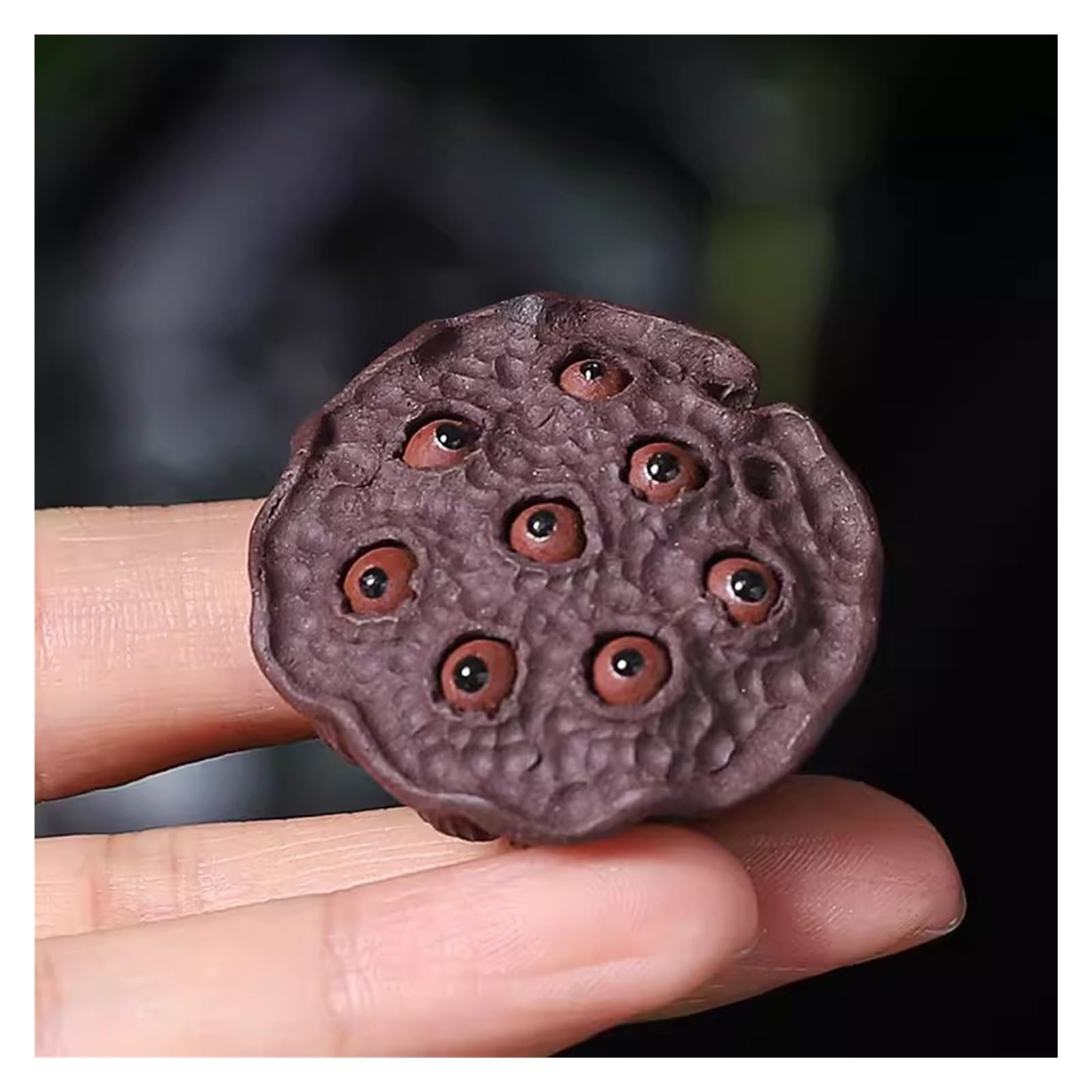 ENGENDER Kung Fu Tea Pet Purple Sand Tea Pet Lotus Root Pod Handmade Statue Crafts Sculpture Ornaments Room Set Accessories(B)
