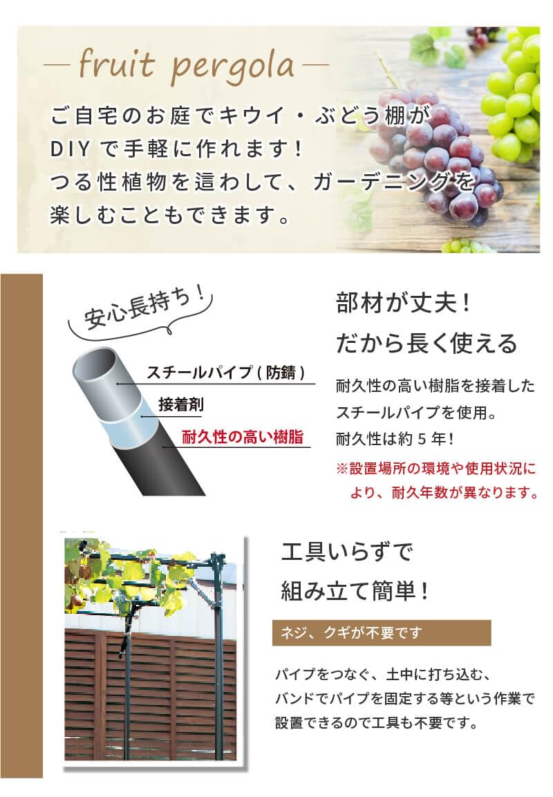 Amazon | DAIM ぶどう棚 パーゴラ 果物棚セット 藤棚 キウイ棚 幅180