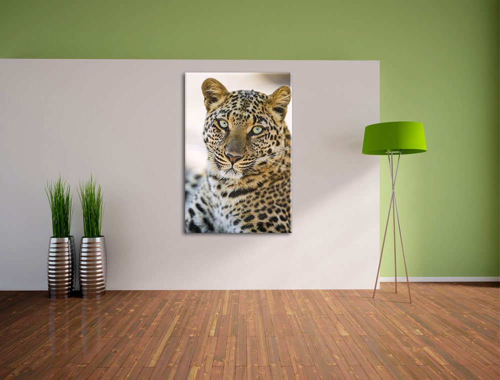 Leinwandbild „Anmutiger Tiger“ | 60x40 Cm, Fertig Auf Keilrahmen Gespannt, Made In Germany
