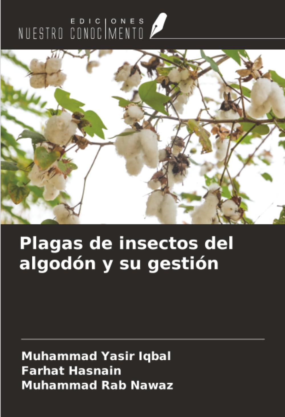 Plagas de insectos del algodón y su gestión