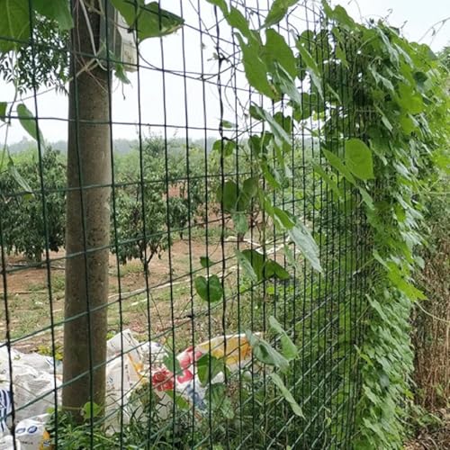 Trwałe ogrodzenie z ocynkowanego drutu kolczastego o wymiarach 1,2 m x 30 m z powłoką PVC, idealne do ochrony zwierząt gospodarskich i ogrodowych, długotrwałe rozwiązanie zewnętrzne