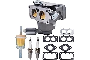 Briggs & Stratton Intek Carburetor 792295